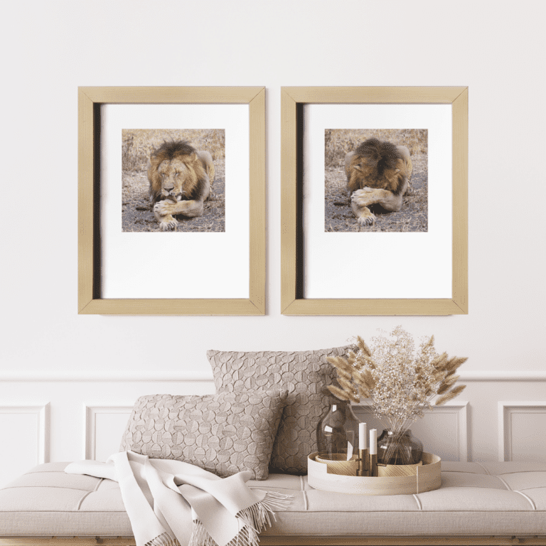 Recámara con fotos de leones